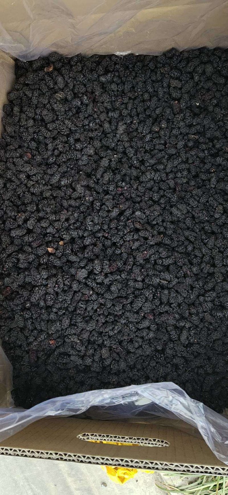 桑葚干，各种等级，无杂质，无添加，欢迎订购批发食用桑葚干