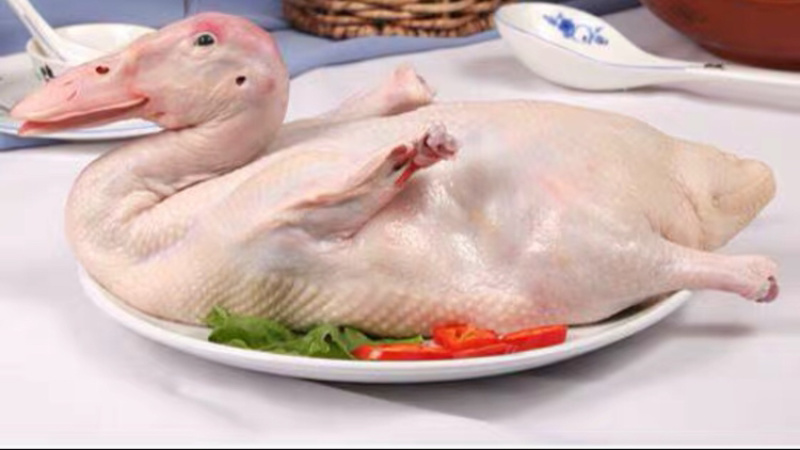 精品白条鸭要的联系
