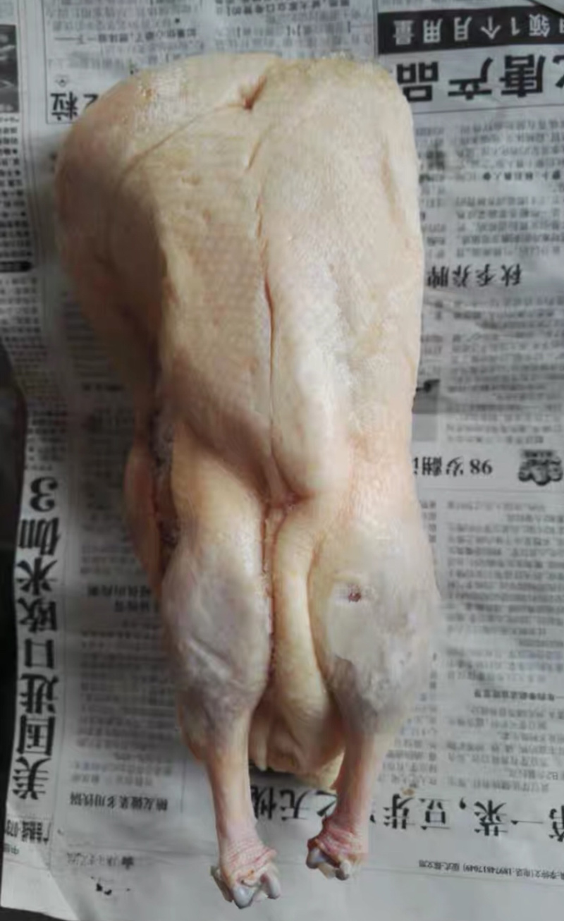 精品白条鸭要的联系