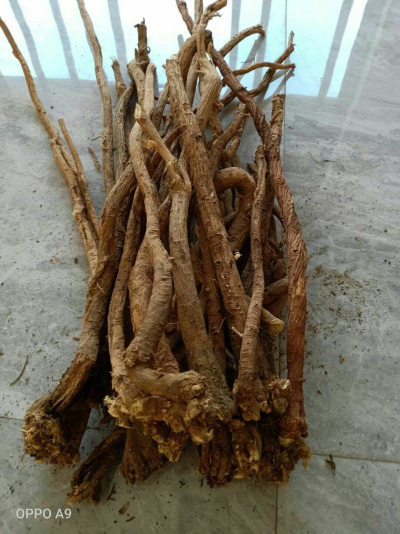 野生黄芪产地直销批发零售