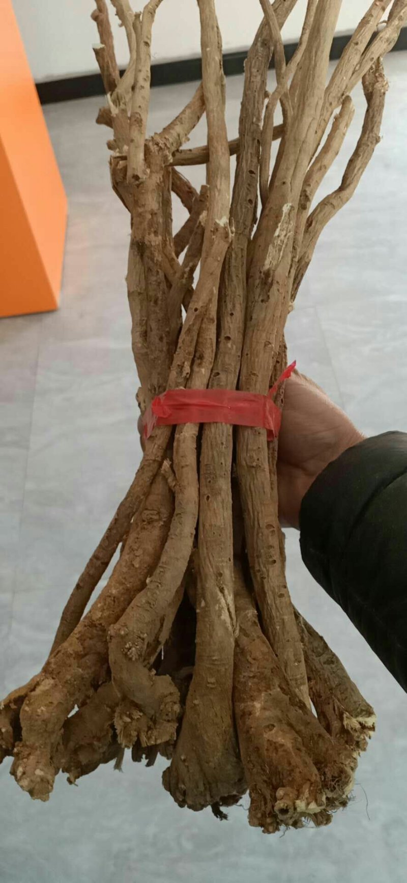 野生黄芪产地直销批发零售