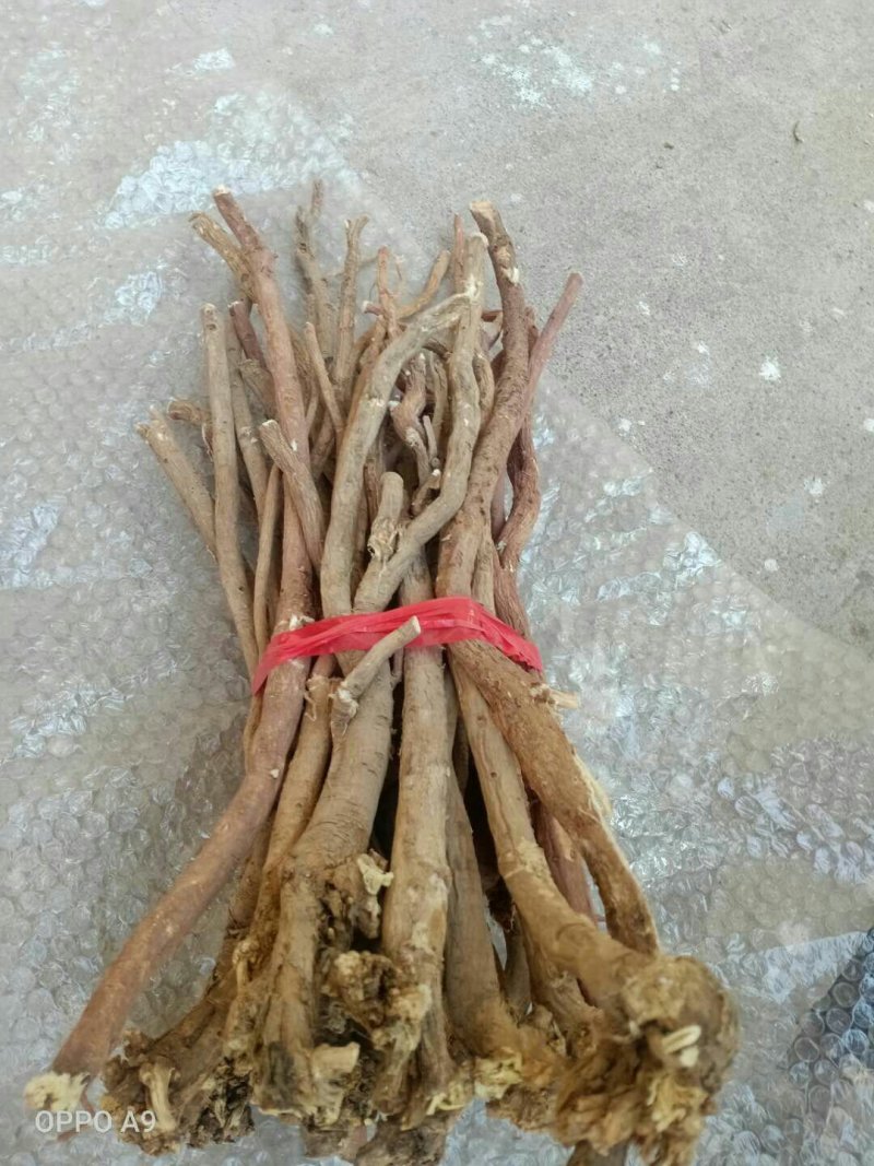 野生黄芪产地直销批发零售
