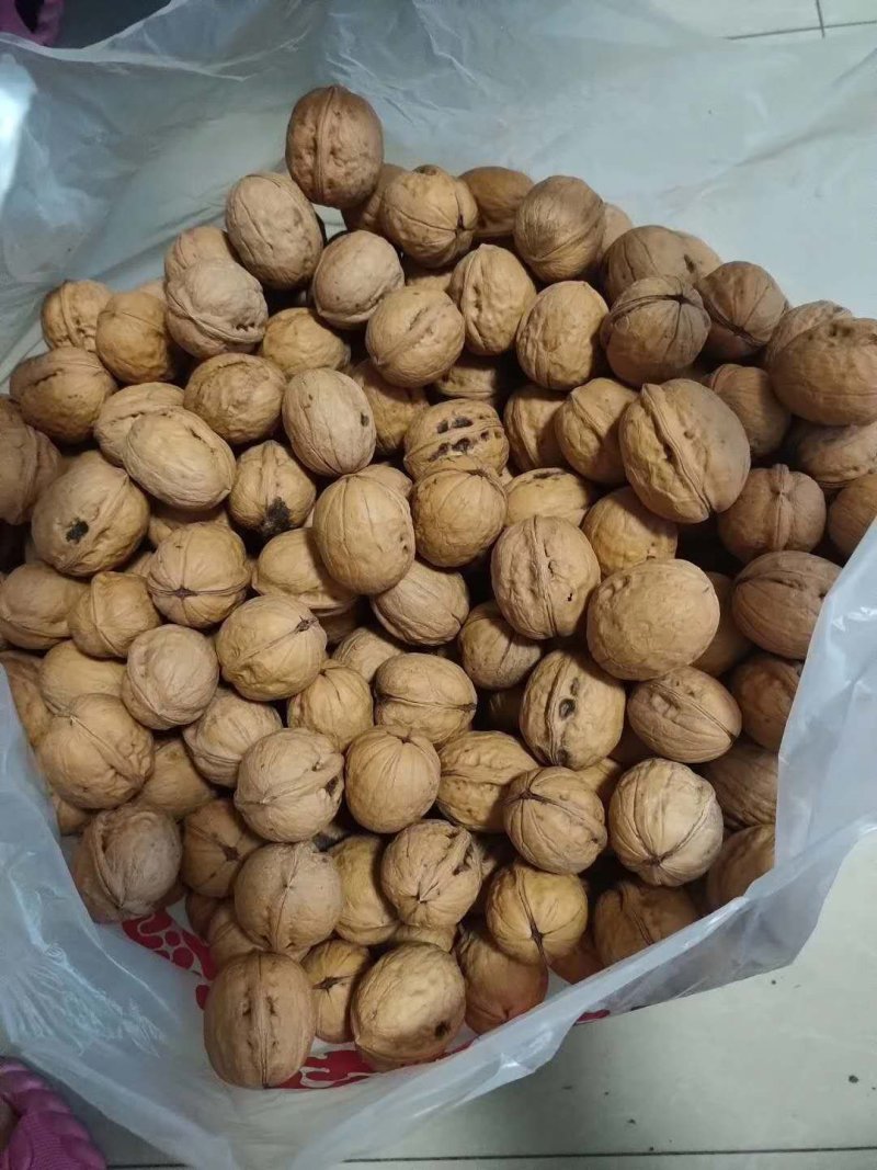 陕西省黄龙县中国核桃之乡，品种香玲核桃，皮薄，有油脂。