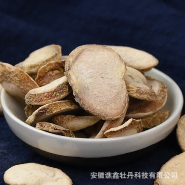 浙贝母贝母贝母批发零售基地直供