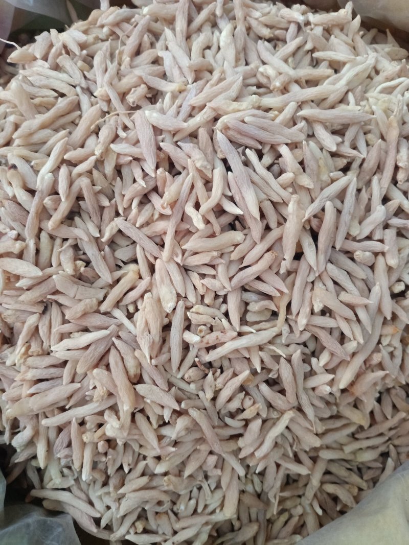 麦冬！含量高规格齐全！大货批发一手货源价格优