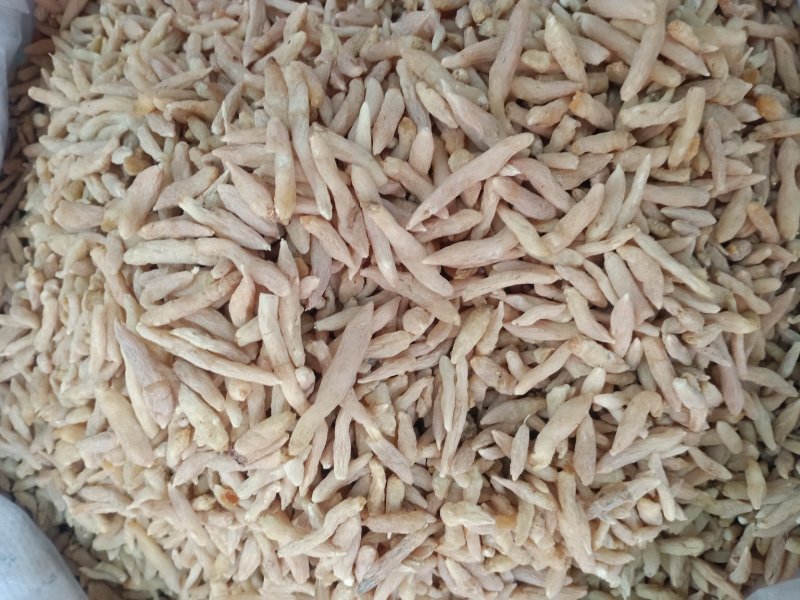 麦冬！含量高规格齐全！大货批发一手货源价格优