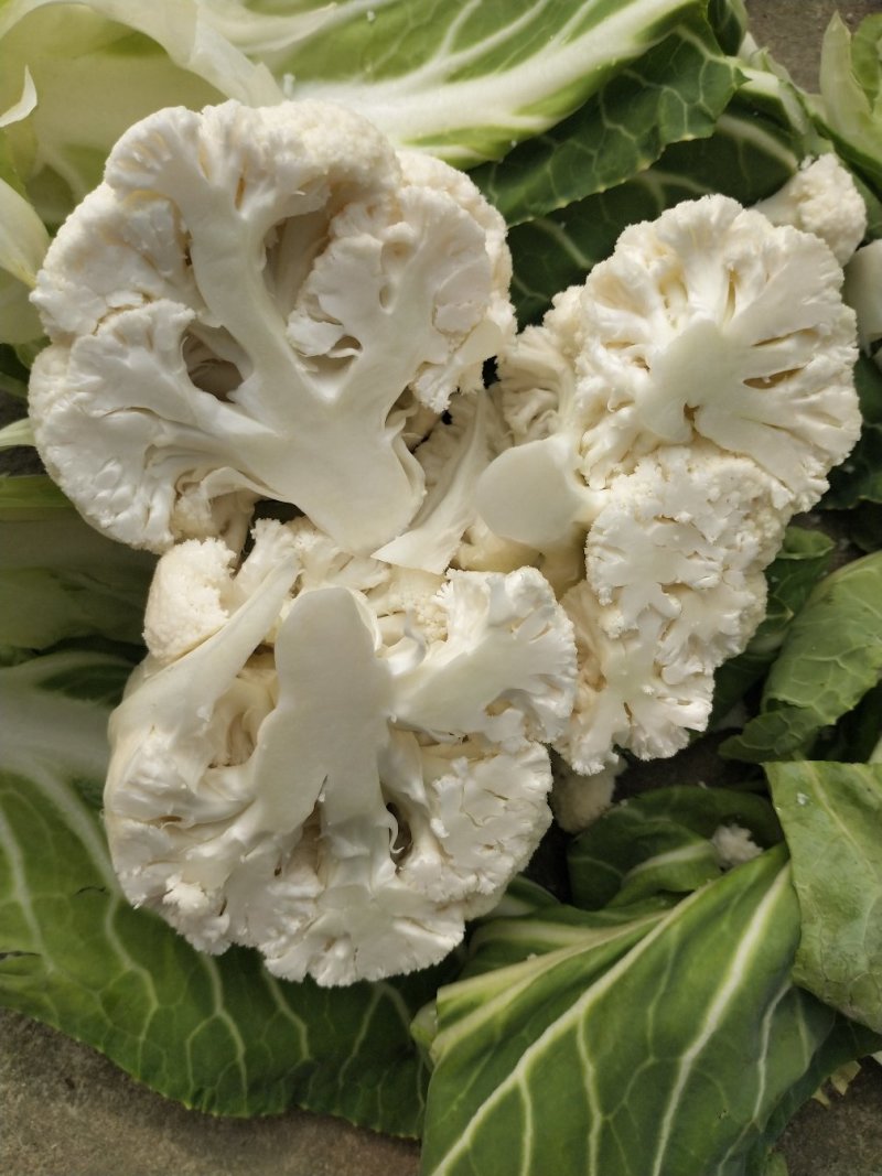 白花菜，实花，菜花，市场加工质量有保证产地代发全国各地