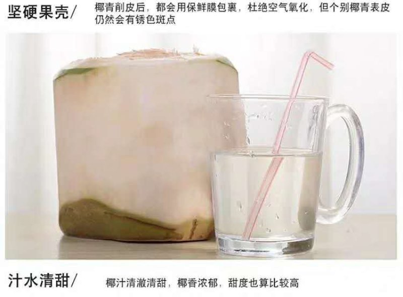 海南椰青9个装包邮厂家直销（一件代发）欢迎合作