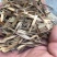 白蜡种子，当年白蜡种子