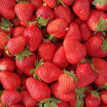 大赛草莓，甜查理，艳丽，价格公平，质量好，特别甜，，，