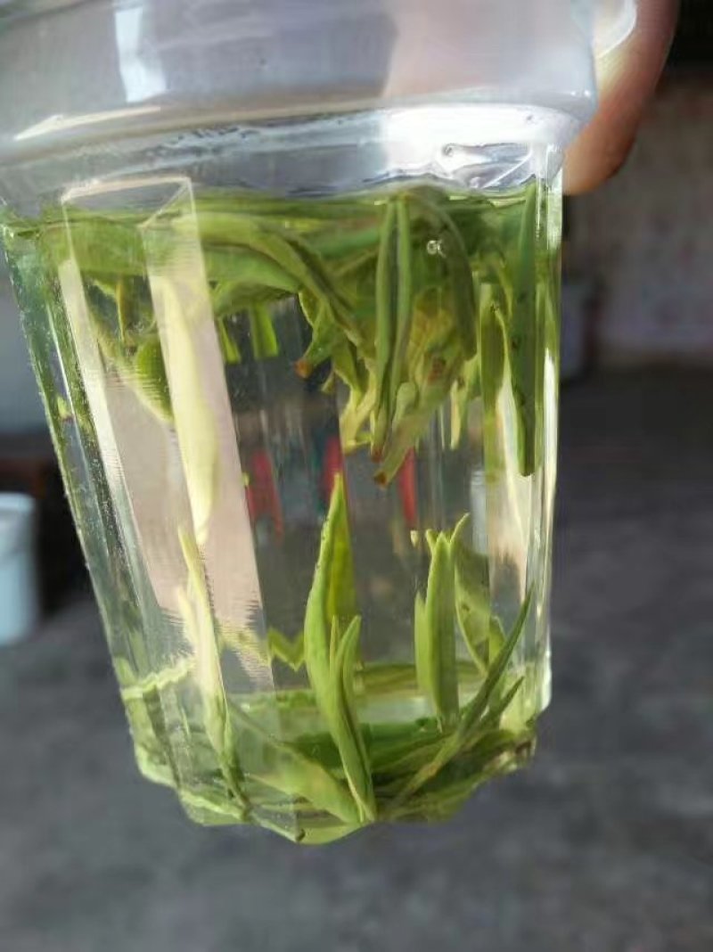 茶叶，茶叶绿茶，茶叶毛尖，茶叶白茶，茶叶自产自销