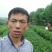 茶叶，茶叶绿茶，茶叶毛尖，茶叶白茶，茶叶自产自销