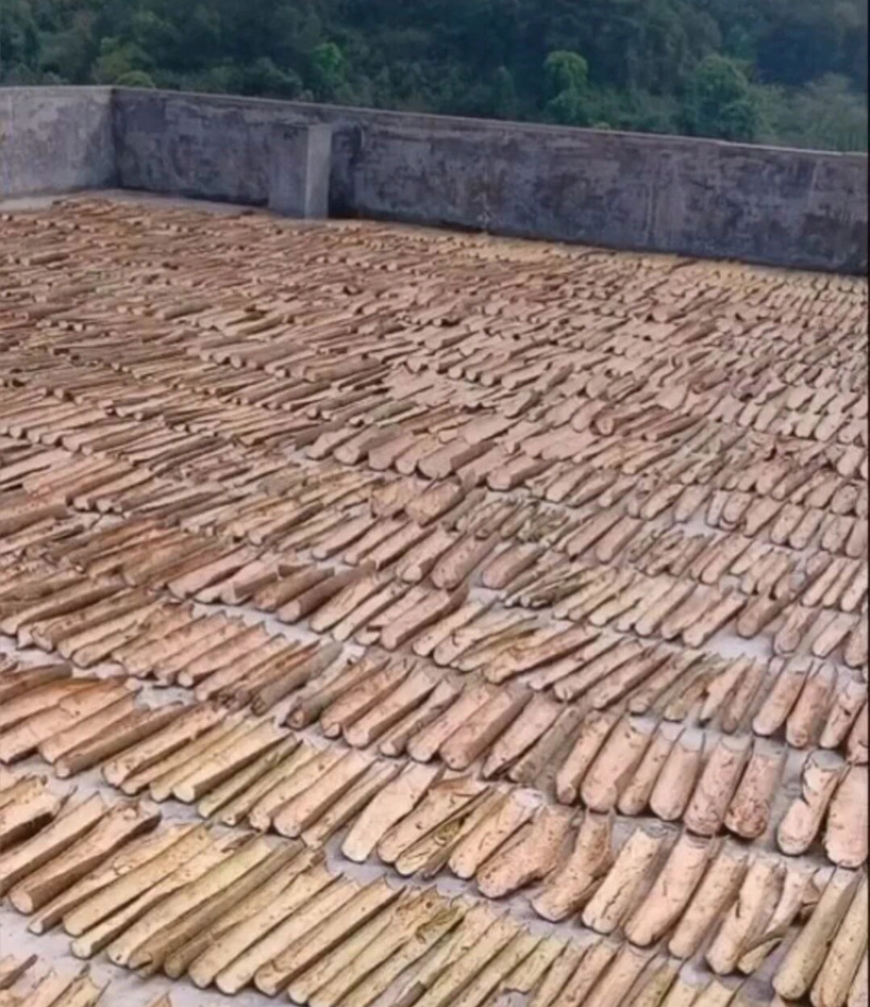 桂皮