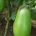 圆茄、长茄，绿茄！精选优质品！常年嫁接各种蔬菜苗全国发货