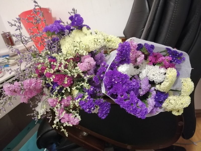 勿忘我大量供应保证质量售后价格优惠量大从优