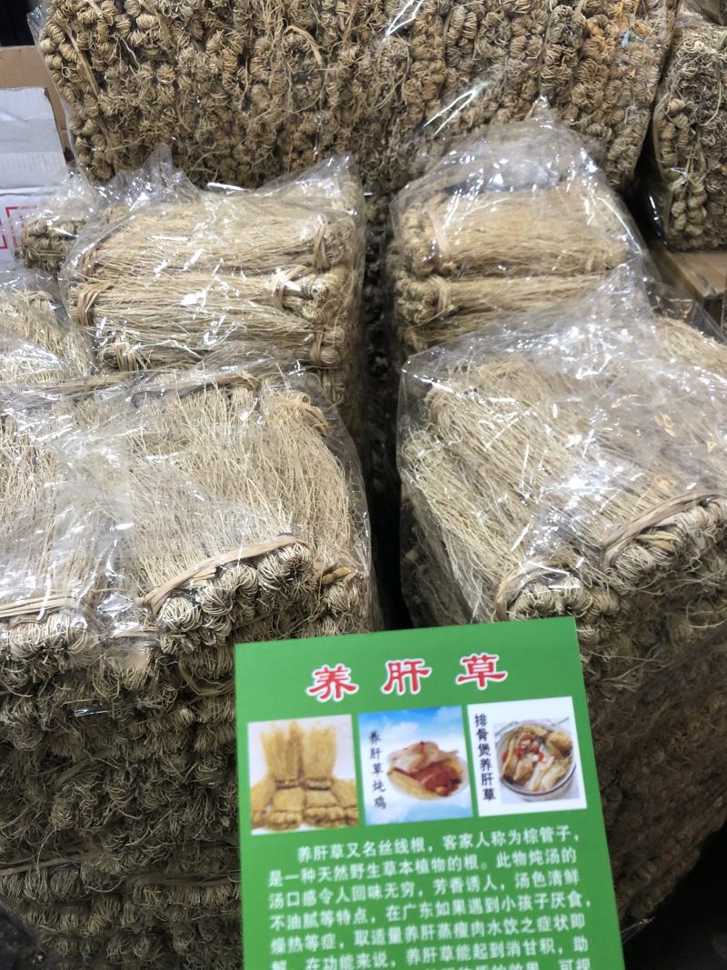 粤北山区养肝草(丝线根）产地直销大量批发