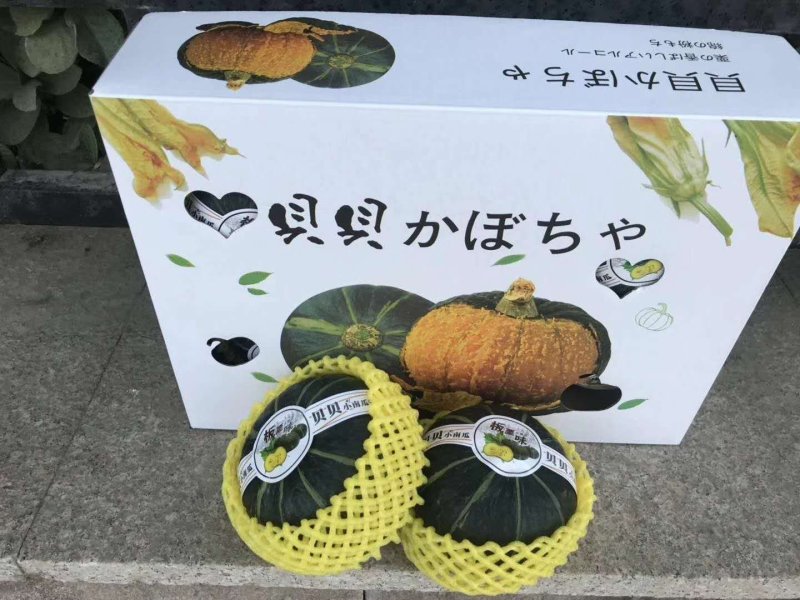 惠和国产贝贝南瓜一件代发礼盒包装国产贝贝南瓜包粉
