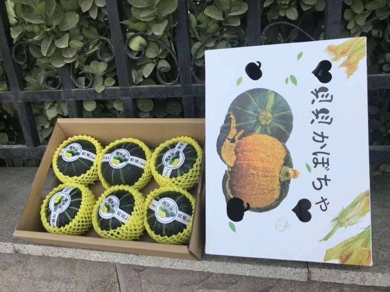 惠和国产贝贝南瓜一件代发礼盒包装国产贝贝南瓜包粉