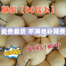 【酥梨】冷库酥梨保证质量不黑皮口感脆甜糖度高