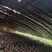 平菇出菇包。高营养高产抗病。平菇袖珍菇鸡腿菇姬菇出菇包