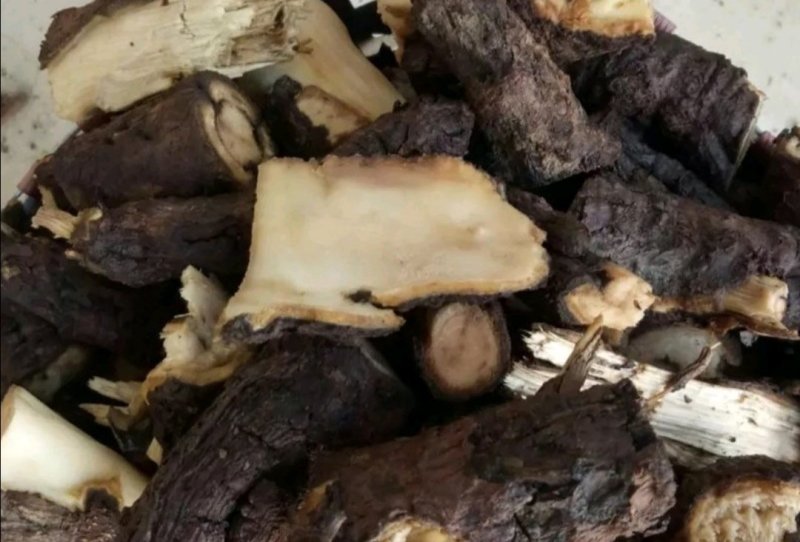 泡桐根，产地直供，质优价实，品质保证，药典标准，地道良药
