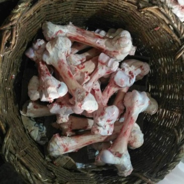 长期批发各种牛副产品牛棒骨，牛脊骨，，，，，，。。。