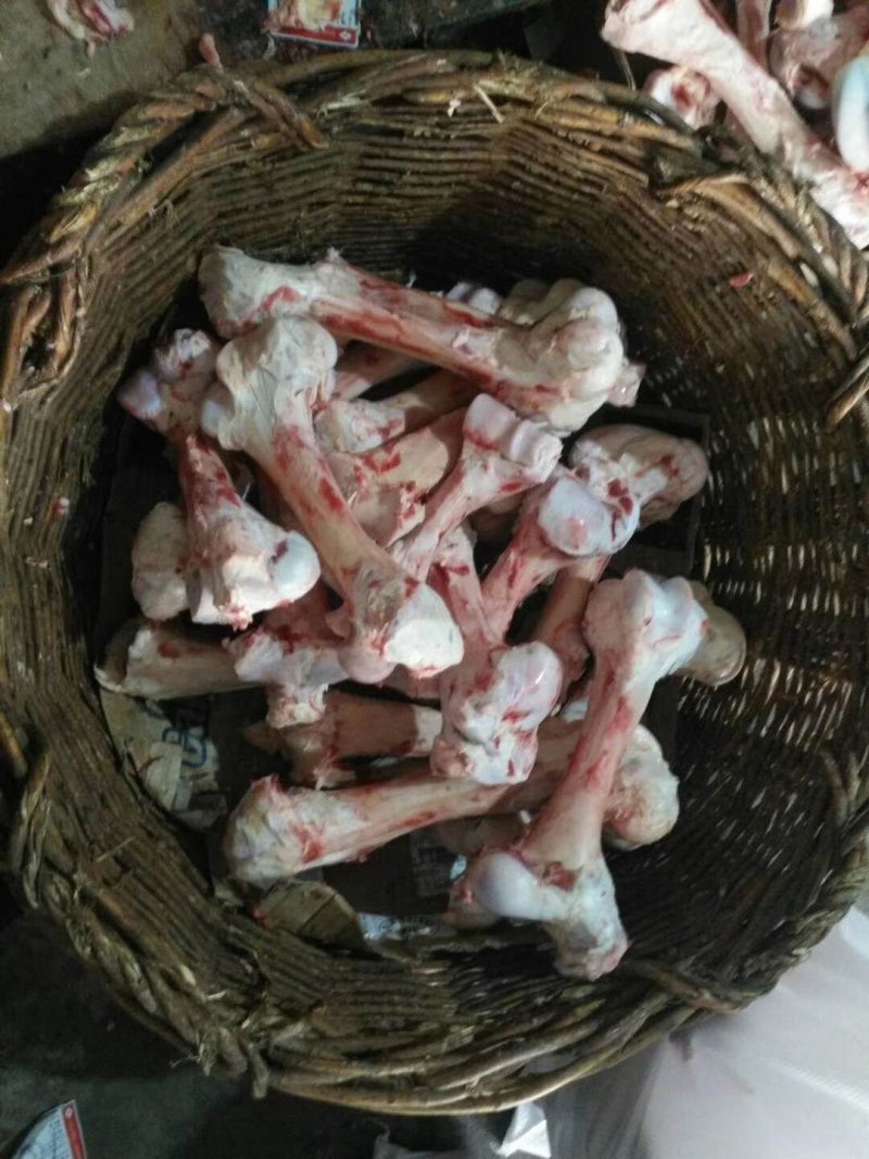 长期批发各种牛副产品牛棒骨，牛脊骨，，，，，，。。。