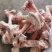 长期批发各种牛副产品牛棒骨，牛脊骨，，，，，，。。。
