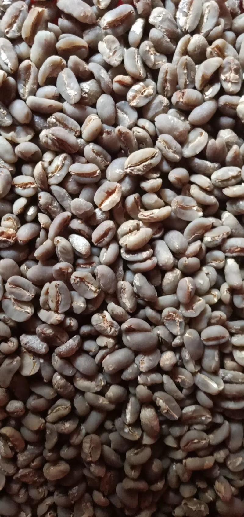 玉林市种比利卡咖啡豆