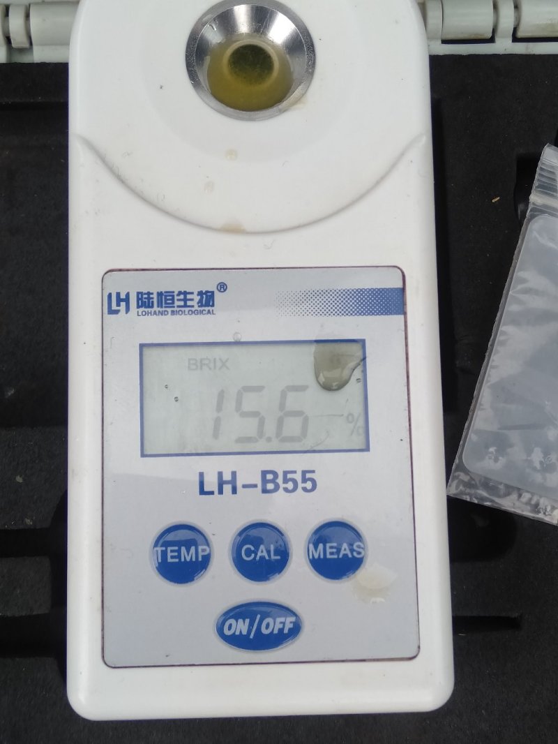 金秀精品夏橙大量上市供应，糖分充足，欢迎实力老板