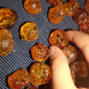 大颗粒老桃胶