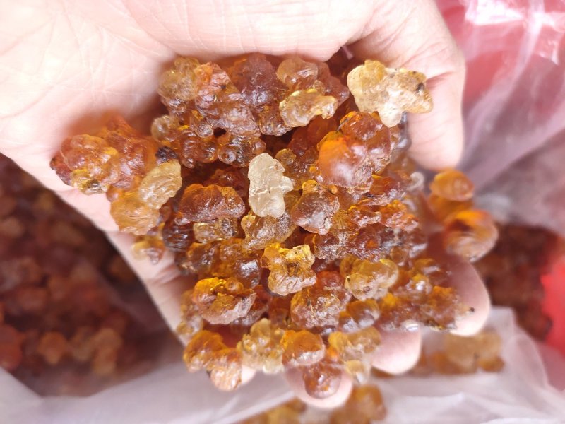 四川成都龙泉天然水蜜桃桃胶红胶黄胶精修