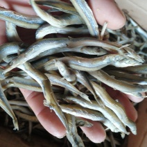 银针鱼质优价廉，诚信为本