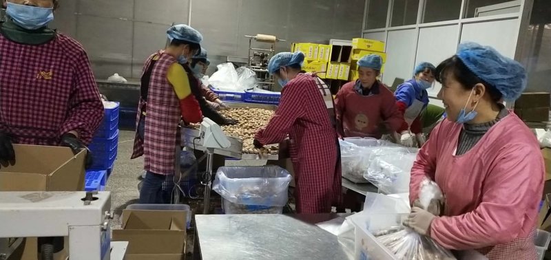 碧根果1新货薄皮裂口山核桃长寿果奶油味厂家直销批发零售