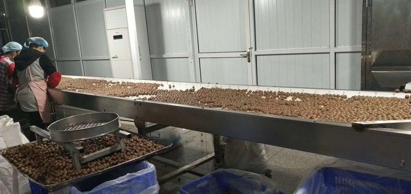 碧根果1新货薄皮裂口山核桃长寿果奶油味厂家直销批发零售