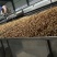 碧根果1新货薄皮裂口山核桃长寿果奶油味厂家直销批发零售