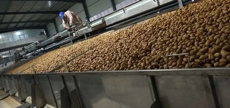 碧根果1新货薄皮裂口山核桃长寿果奶油味厂家直销批发零售