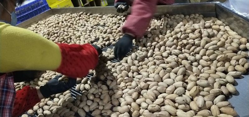 碧根果1新货薄皮裂口山核桃长寿果奶油味厂家直销批发零售