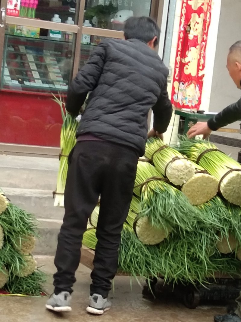 蒜薹