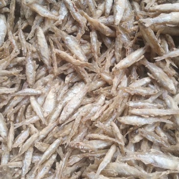 油炸面粉小白肖鱼质量保证