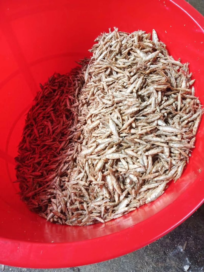 油炸面粉小白肖鱼质量保证