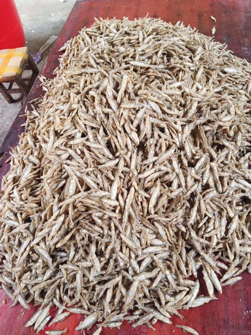 油炸面粉小白肖鱼质量保证
