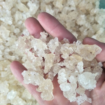 雪燕，常年批发供应雪燕，药食同源美容养颜