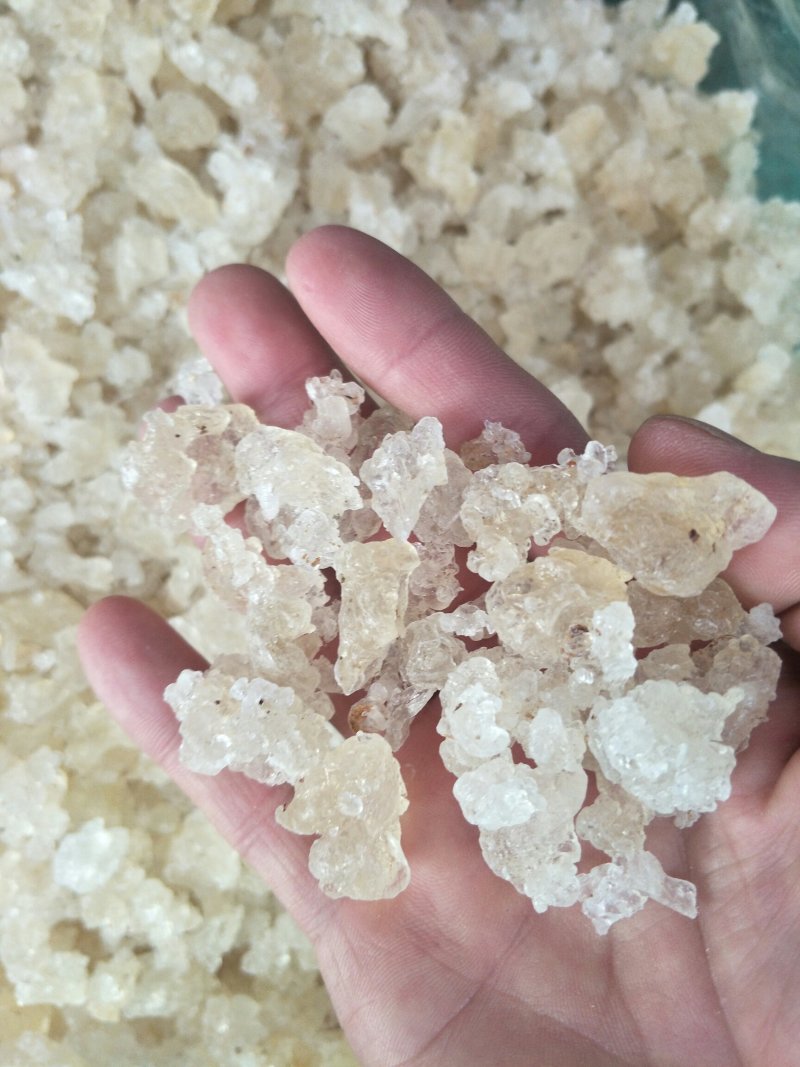 雪燕，常年批发供应雪燕，药食同源美容养颜