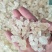 雪燕，常年批发供应雪燕，药食同源美容养颜