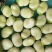 胡豆蚕豆兰花豆四川胡豆大量上市中胡豆