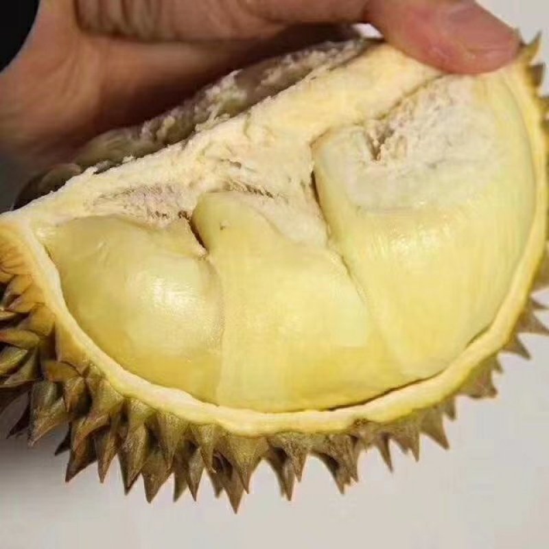 顺丰快递榴莲一件代发2到8斤包邮，每天发货。