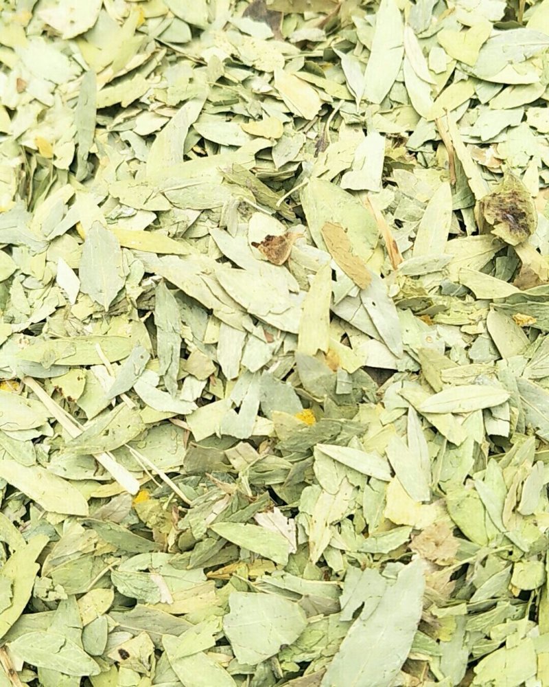 番泻叶，常年批发供应番泻叶中药材