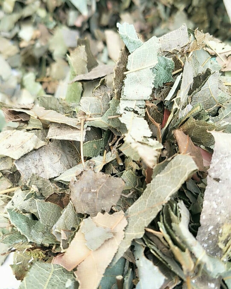 淫羊藿，常年批发供应各个产地，淫羊藿