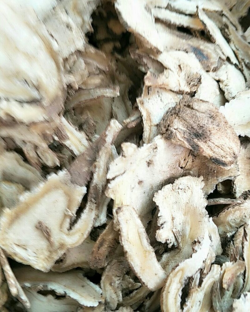 当归，常年批发供应中药材，当归，药食同源